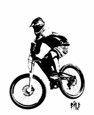 DH3