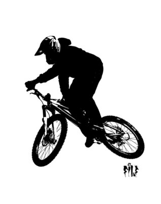 DH1 copy
