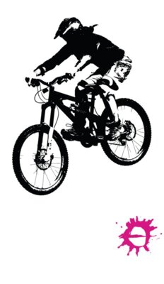 DH2 crankpink